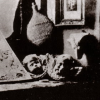 The Wonderful World of Early Photography