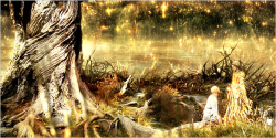 The Fountain